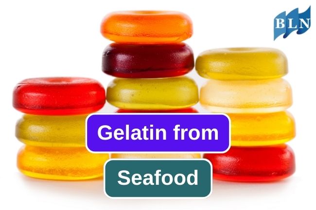 Here Are Seafood Gelatin Uses for Our Daily Products